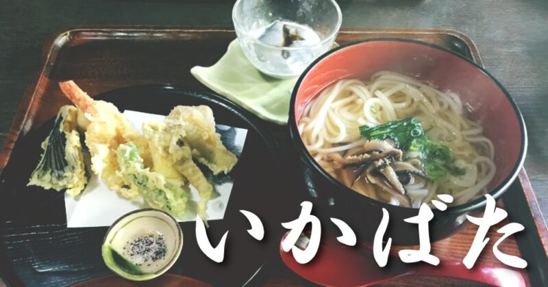 【中伊豆・いかばた】古民家で、すっげえうまいうどん食べた♪〈ちゅんころもちレポート〉